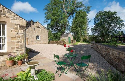 Little Birks - Foto 16