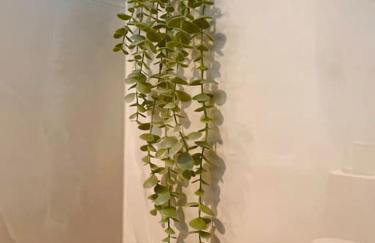 Sunset Lagoon Vrsi Mulo - Foto 12