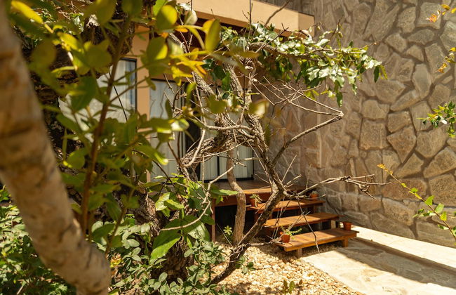 Lofts Lobo Guara - Foto 36