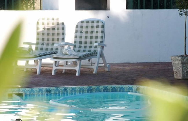 Olive Grove Guest Farm - Foto 16