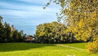 Baumhaus Samerberg - Foto 3, Garden