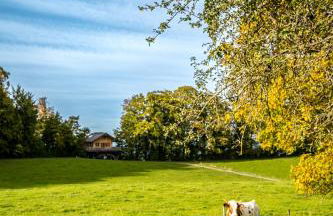 Baumhaus Samerberg - Foto 3