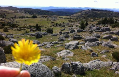 Le Grenier d'Annick - Foto 12