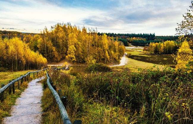 Cottage With Garden at Utrechtse Heuvelrug - Photo 18