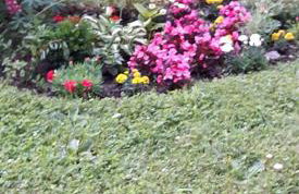 Apartment Perić - Foto 26