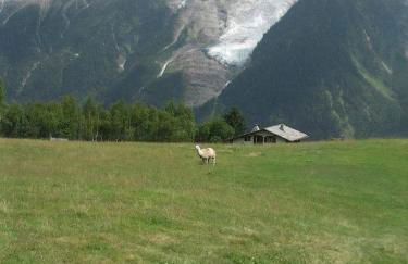 Appartement T2+cabine indépendante au départ des télécabines Saint-Gervais/Bettex/Mont d’Arbois - Foto 78