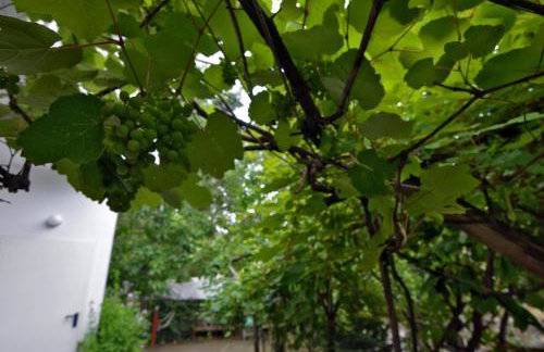 Camping Orpheus Apartments - Foto 58