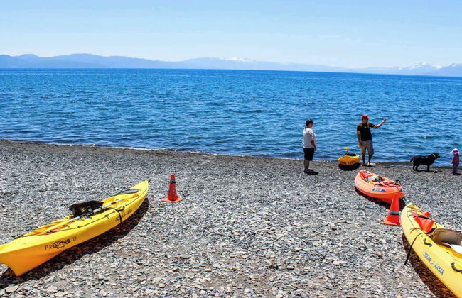 Moose Cabin Year-round Outdoor Fun w/ BBQ - Photo 16