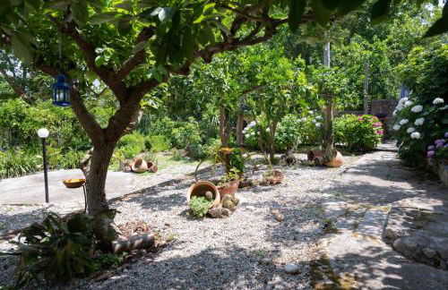 Melly's home country house alle pendici del Partenio - Foto 15