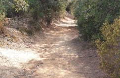 Maravillosa casa con piscina grande y bosque - Photo 41