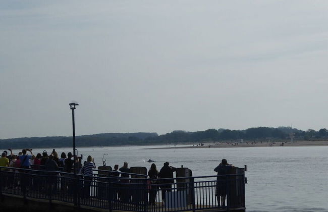 Reese Uitzicht op de Trave - Foto 8