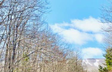 Catskill Cabin Zen Mantra Apt - Foto 16