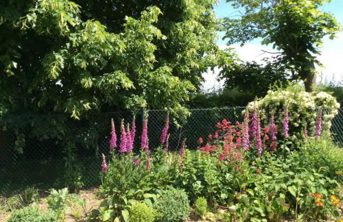 Ferienwohnung Haumannshof - Foto 31