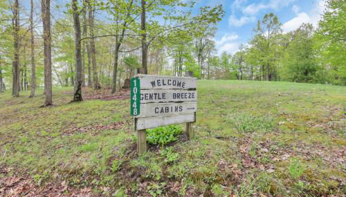 The Silver Birch - Photo 3