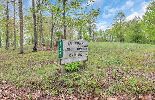 The Silver Birch - Foto 3