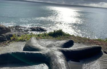 Taïcyté Beg Meil - Foto 16