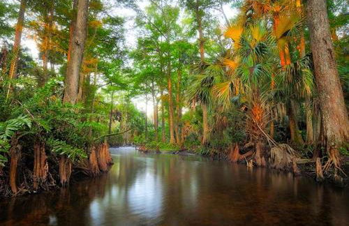 Upcycled Shipping Containers Transformed into a Glamping Home for a Unique Florida Vacation - Foto 4