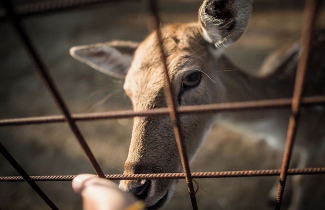 Agriturismo Beatilla - Foto 75
