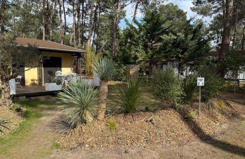 Euronat naturist studio - Foto 3