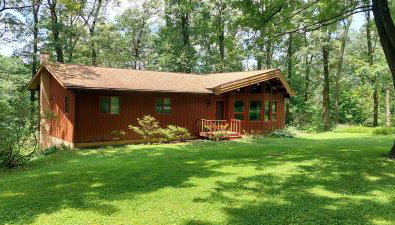 Forest View - Foto 2