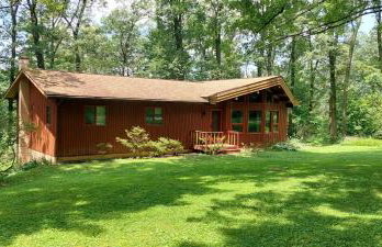 Forest View - Foto 2