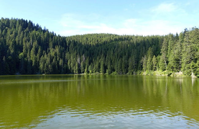 Modern Apartment in Soultzeren - Photo 11