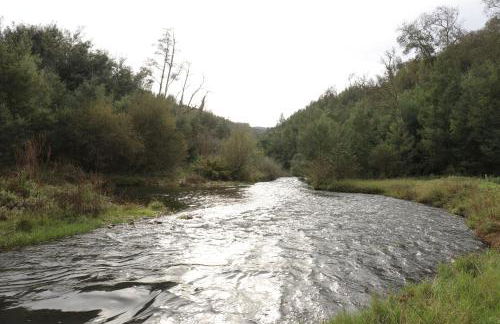 Vale das Maias - Casa de Campo - Photo 78