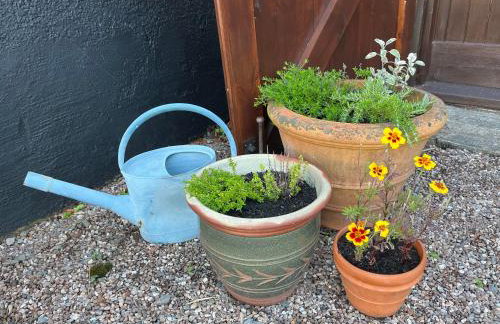 Finches Barn near Exeter - Foto 24