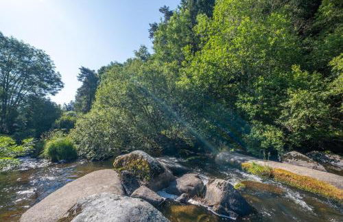 Gîte Le Moulin du Chambon 6/8 pers - Foto 42