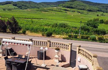 Chez Florence Ammerschwihr - Foto 27