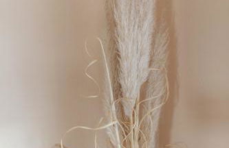 Seabreeze Suite - Foto 7