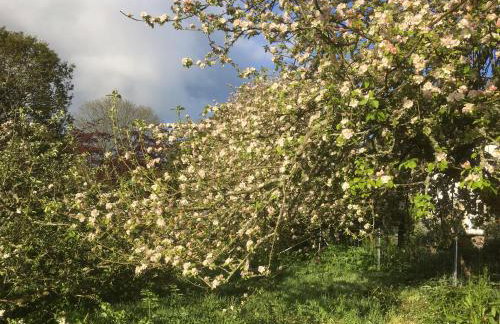 Pit Paddy Barn - Photo 10