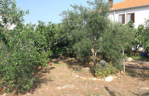 Apartments by the sea Ugljan - 8264 - Foto 11