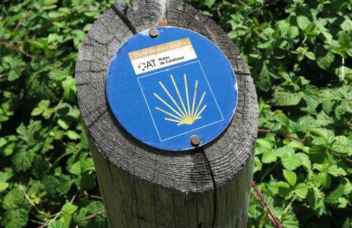 Apartment Sant Francesc - Photo 56