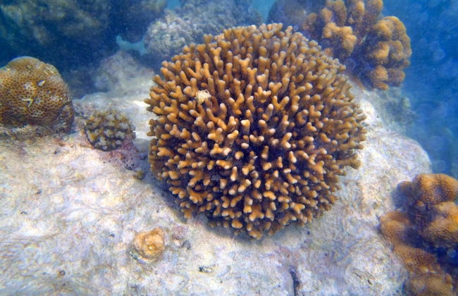 Fairytern Chalets - Photo 5