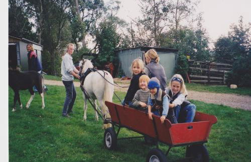 Margarethenhof - Foto 14