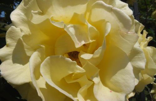 Casa Vacanze Santa Maria - Foto 20