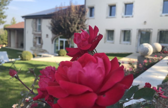 Agriturismo Relais Maddalene101 - Photo 46