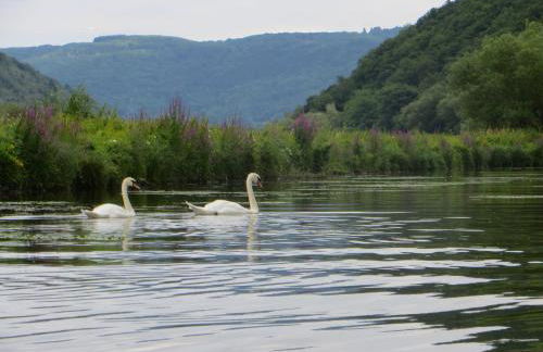 Ferienwohnung Wagner 4 Sterne - Photo 50