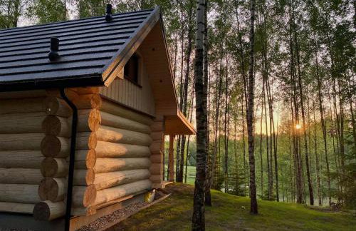 Leśne Klimaty - Foto 11