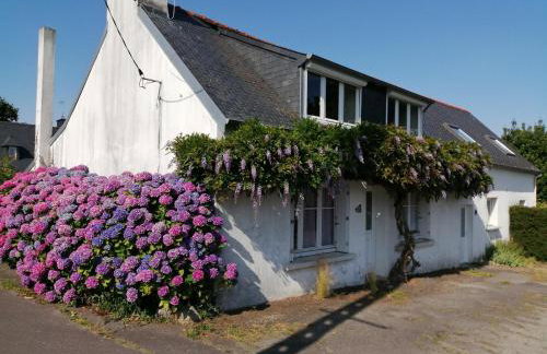 La Glycine - Foto 15