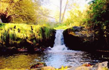 Apartahotel portal de leon - Photo 78