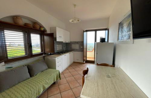 Appartamenti Pousada Michelino - Foto 16