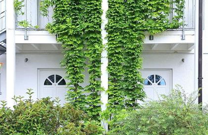 Strandhaus Chiemsee - Foto 52