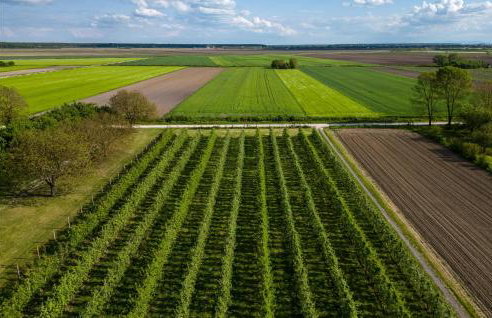 2 Bedroom Stunning Home In Rokovci - Foto 24