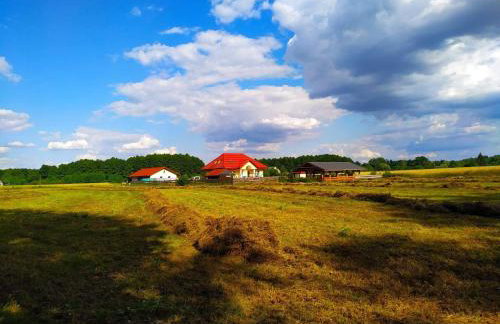 Sielski Dom - Foto 43