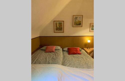 Vintage Apartment WOLF im Wadrilltal - Balkon Garten - Foto 29