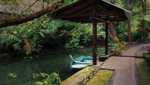 Quinta da Mó - Foto 3, Garden