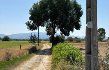 Casa Cabeço do Barragão - Photo 37