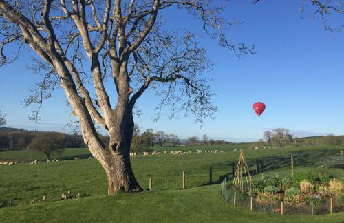 Beautiful Devon Farmhouse - Foto 26